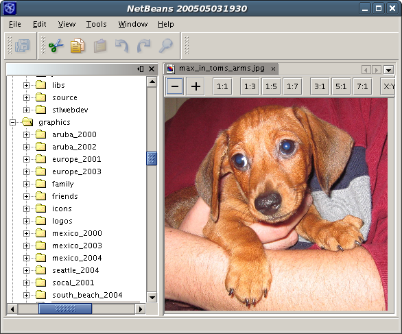 Screenshot of the Disk Explorer/Image Viewer Application