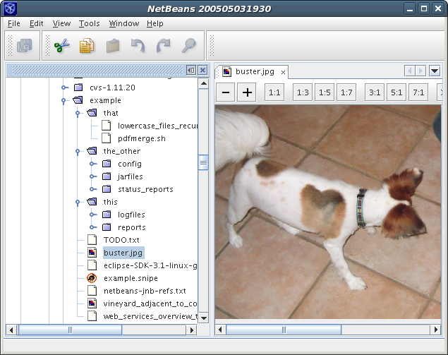 Screenshot of the displayed image file